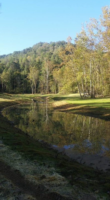 爆料:西热擅长防哈德森 增加辽篮取胜的难度_BJL平台(图1) BJL平台集团