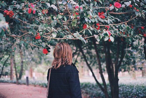 BJL平台|2017NBA全明星东西部首发五虎阵容公布(图1) BJL平台