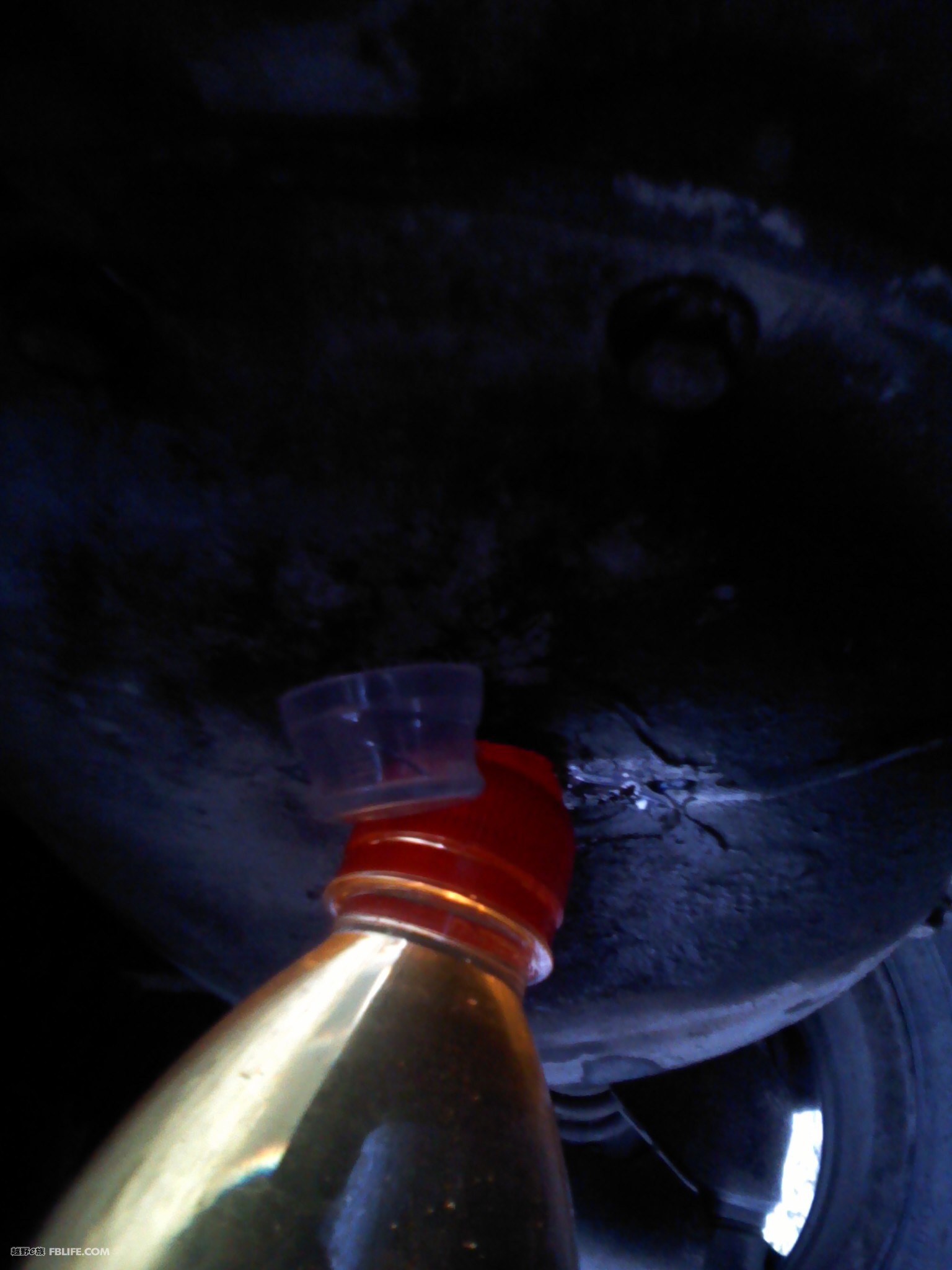 BJL平台集团|女友花1赛季画小丁油画超逼真 网友:不是花瓶有内涵(图3) BJL平台