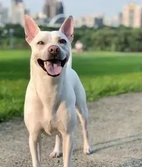 BJL平台|滔河乡中成功召开消防安全教育会(图1) BJL平台