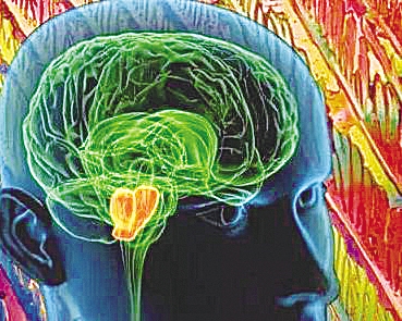 “BJL平台集团”
内马尔太惨 又被大巴黎视为二当家:他可以走 头号巨星必须留下(图2) BJL平台