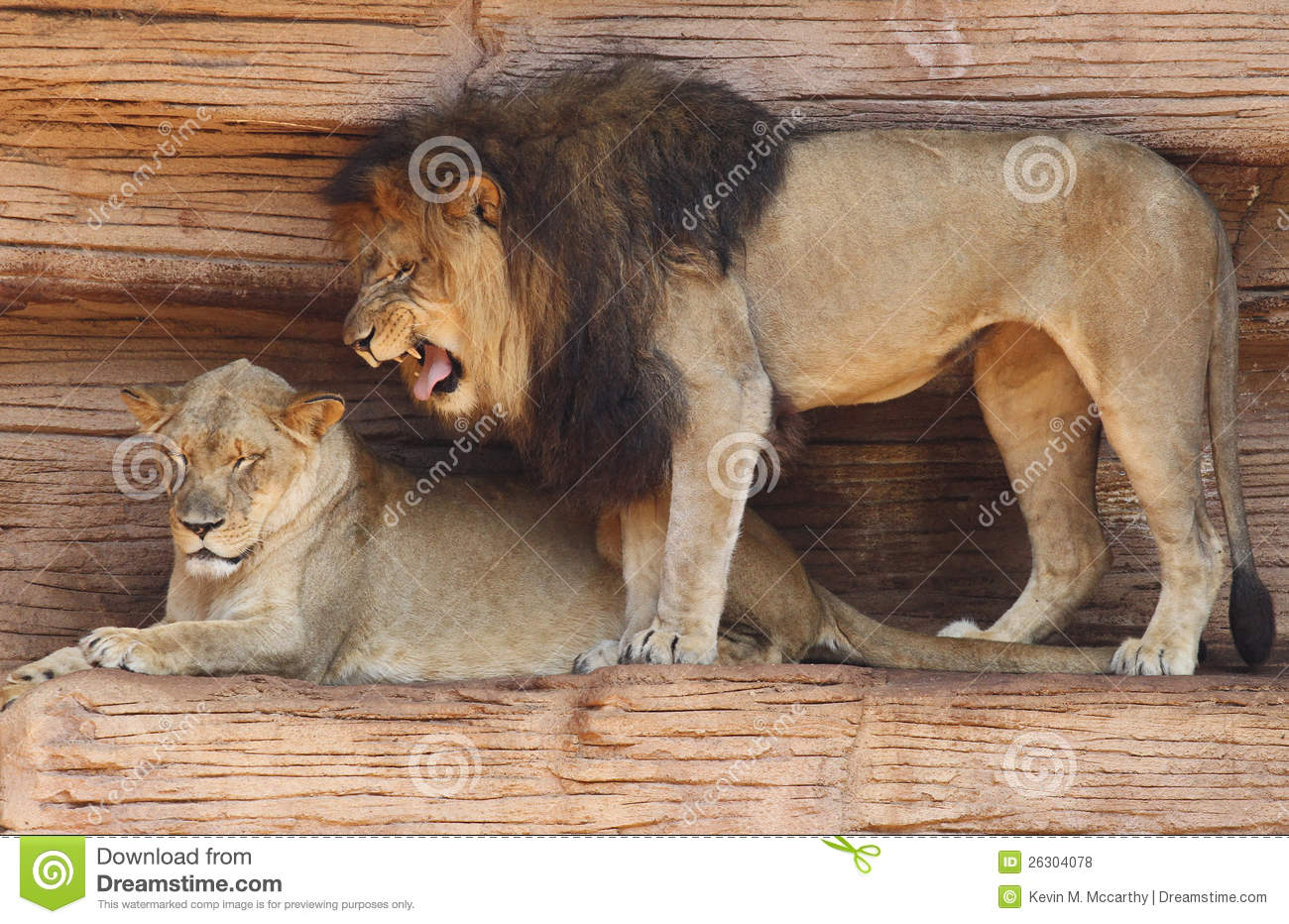 BJL平台集团:三外援合砍92分富兰克林39分 吉林大胜双杀广厦(图1) BJL平台