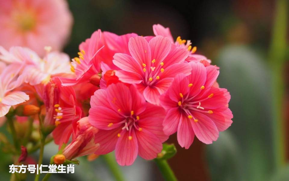 BJL平台集团:三外援合砍92分富兰克林39分 吉林大胜双杀广厦(图2) BJL平台集团