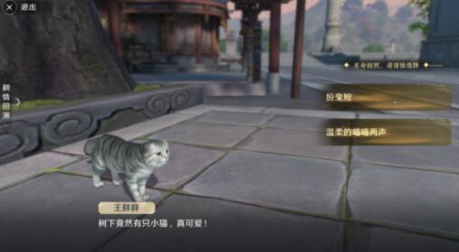 BJL平台